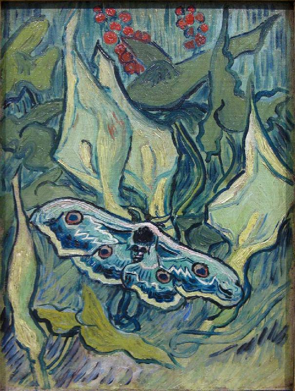 Vincent Van Gogh Butterflies Norge oil painting art